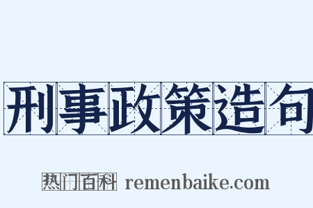 刑事政策造句是什么意思的图片